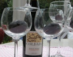 2006 Coldaia Pinot Nero Toscana IGT