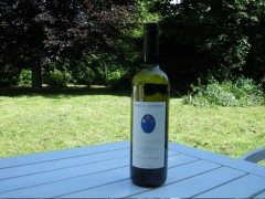 2009 Collesanti Lazio Bianco IGT