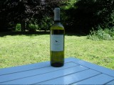 2009 Argento Lazio Bianco IGT