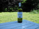 2008 Montescudaio Bianco DOC 