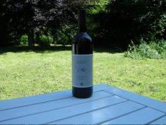 2005 SchiavaDOC 