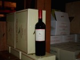 2007 Veste Porpora Lazio Rosso IGT