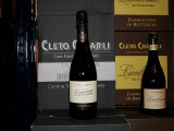 2010 Centenario Lambrusco Grasparossa di Castelvetro Secco DOC