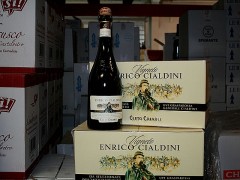 2010 Vigneto Enrico Cialdini Lambrusco Grasparossa di Castelvetro Secco DOC 