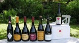 2010 Lambrusco Rubio