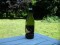 2010 Moscato d'Asti DOC