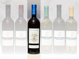 2003 Campiano Merlot 