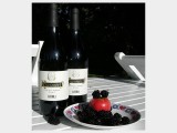 2003 Riccionero Pinot Nero IGT