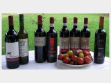 2006 Propileo Lazio Rosso IGT