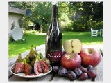 2004 Shara Syrah Langhe Rosso DOC