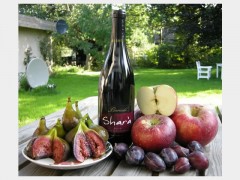 2004 Shara Syrah Langhe Rosso DOC