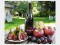 2004 Shara Syrah Langhe Rosso DOC