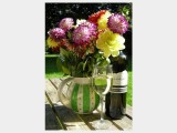 2008 Pinot Grigio Collio DOC 