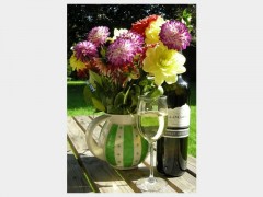 2008 Pinot Grigio Collio DOC 