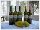2007 Sauvignon Collio DOC 