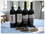 2006 Refosco Collio DOC 