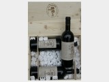 2004 Amarone Marta Galli DOC