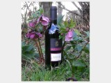 2003 Aruca Rosso IgT 