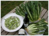 2007 Ferentano Lazio Bianco IGT