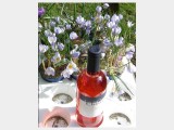 2008 Chiaretto Rosato 