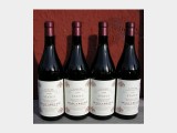 1999 Status Langhe Rosso DOC 