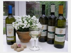 2009 Moscato Giallo Trentino DOC