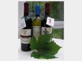 2007 Husar Marzemino Di Isera Trentino Superiore DOC De Tarczal