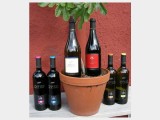 2007 O\'Feo Nero D\'Avola IgT 