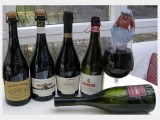 2010 Nivola Lambrusco