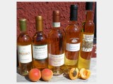 Albana Passito 0,500 liter