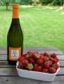 Prosecco Frizzante Ca\' del Cino DOC