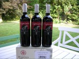 2008 Capriolo Rosso Dolomiti IGT 