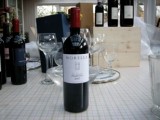 2007 La Signora Primitivo IGT