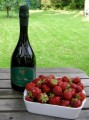 2010 - 2009 Malvasia Secca  Emilia IgT Tirelli