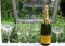 Marca Oro Prosecco Spumante Valdobbiadene Superiore DOCG Extra Dry