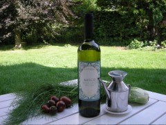 2010 Misco Verdicchio dei Castelli di Jesi Classico Superiore DOC