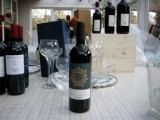 2009 Primitivo di Manduria DOC, Morella