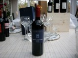 2008 Primitivo Negroamaro Salento IGP, Morella