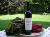 2008 Rosso Piceno DOC 