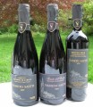 2009 Lambrusco Salamino di Santa Croce DOP &Oslash;KO