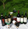 2010 Olio Majnoni Extra Vergine Di Oliva 