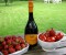 2010 Stopai Lambrusco