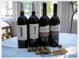 2005 Cabernet Sauvignon IgT 
