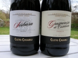 2010 Centenario Lambrusco di Sorbara Secco DOC VINTERPRIS