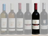 2005 Cabernet Franc 