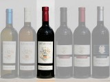 2004 Pianilonghi 