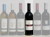 2007 Teroldego 