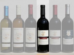 2007 Teroldego 