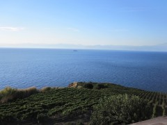 2010 Malvasia delle Lipari Passito DOC 0,500 liter
