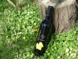 2012 Pinot Grigio Valdadige DOC, Cantina Valdadige